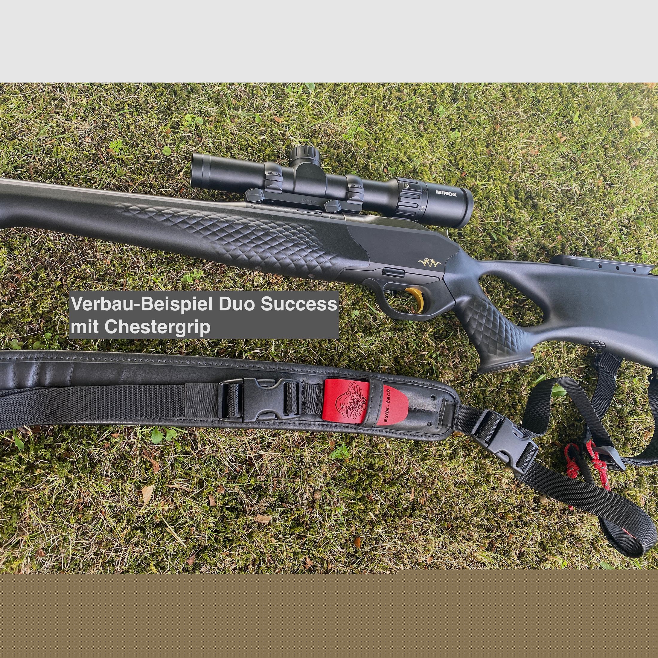 Blaser R8 stock / hole stock