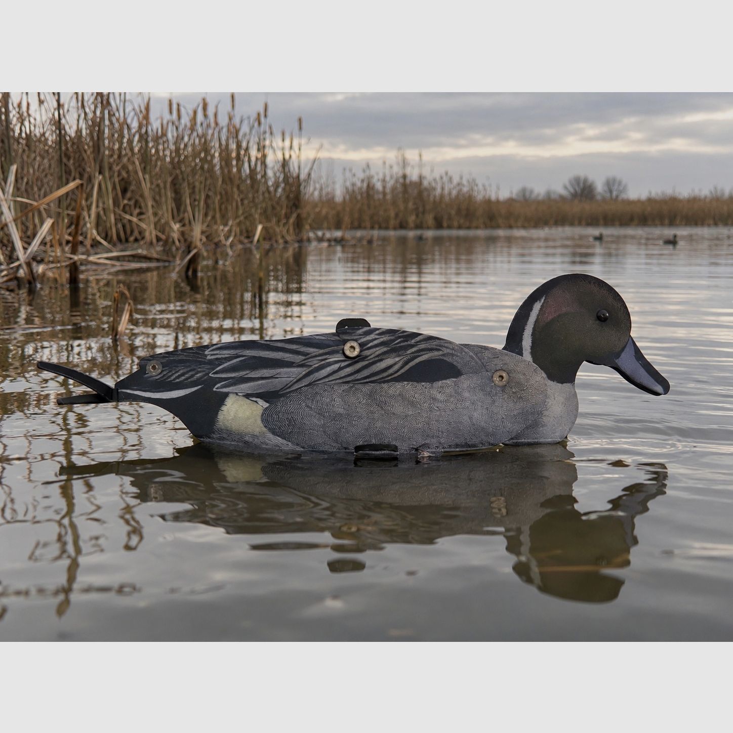NRA FUD Northern Shoveler 6 sztuk + GOLD-RACE 7,5 ml - Lotto, zdjęcie 1 z 9