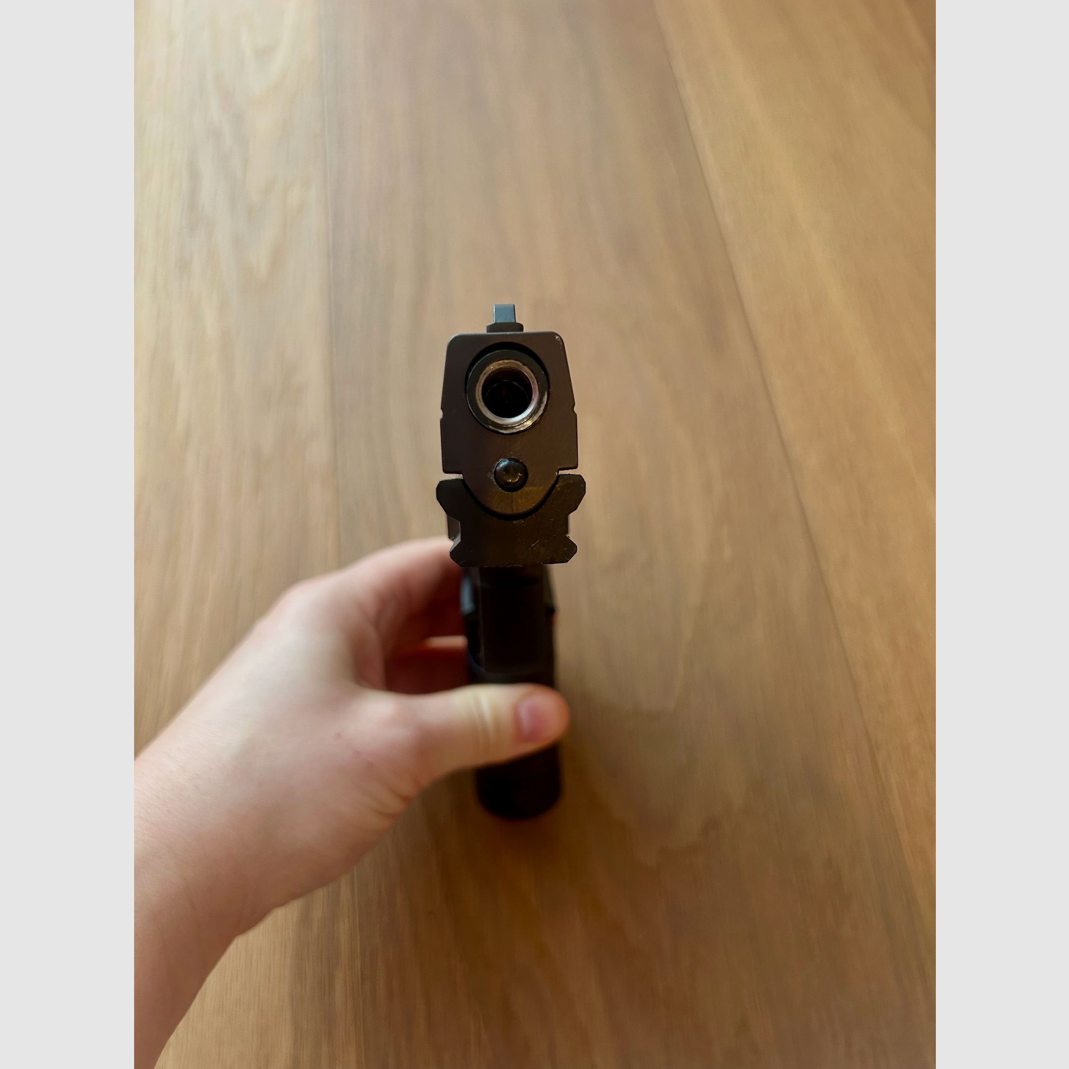 Schreckschusspistole Walther PK380 cal. 9 mm P. A. K.