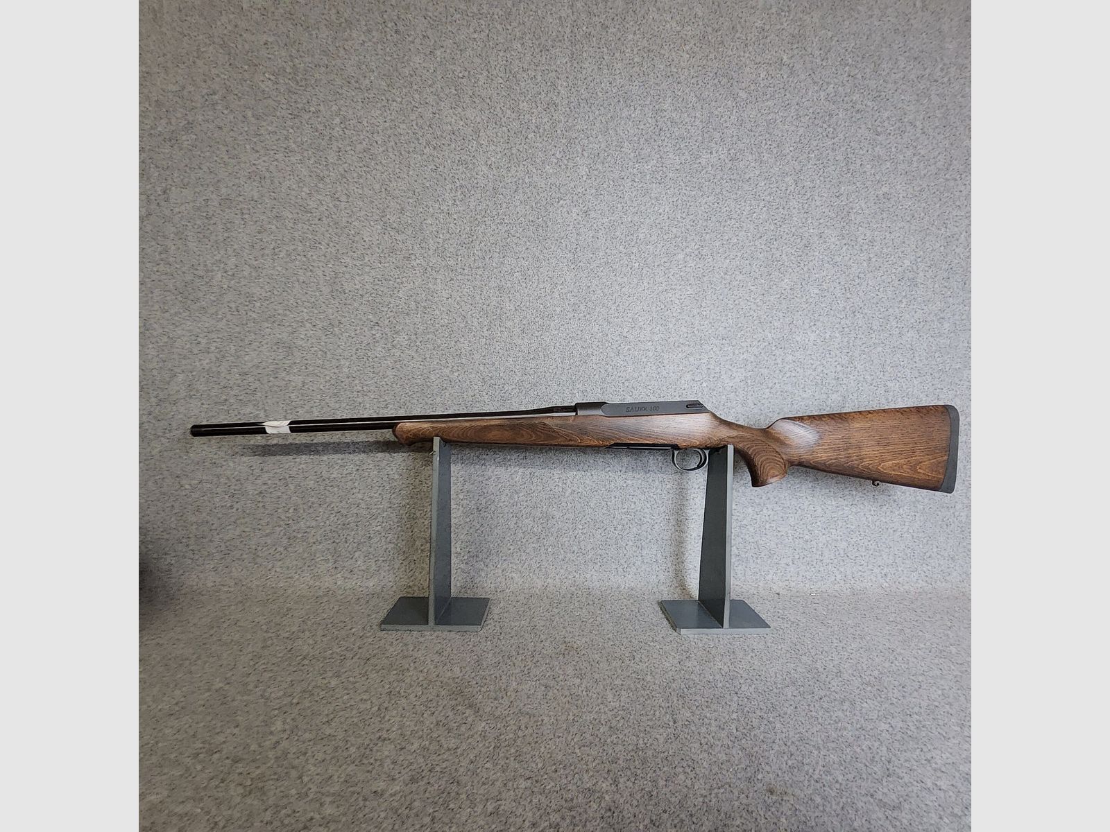 Sauer 100
