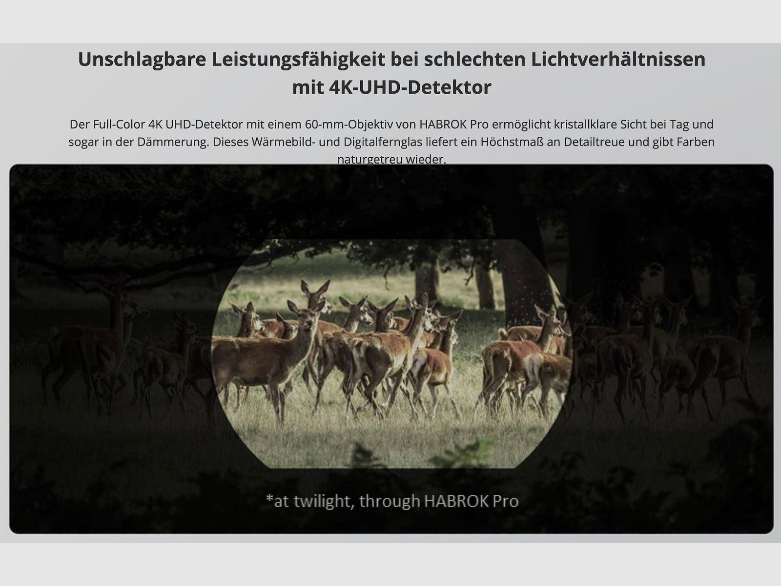 Hikmicro Binocular Habrok Pro HQ50LN Wärmebild Nachtsicht Digitalkamera 1920 × 1080 OLED