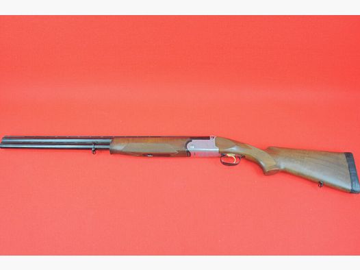 Rizzini Albion