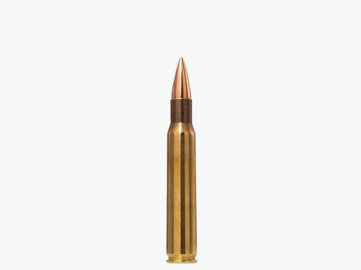 Norma Ammo .30-06 FMJ Range & Training 9.7 g / 150 gr VE50