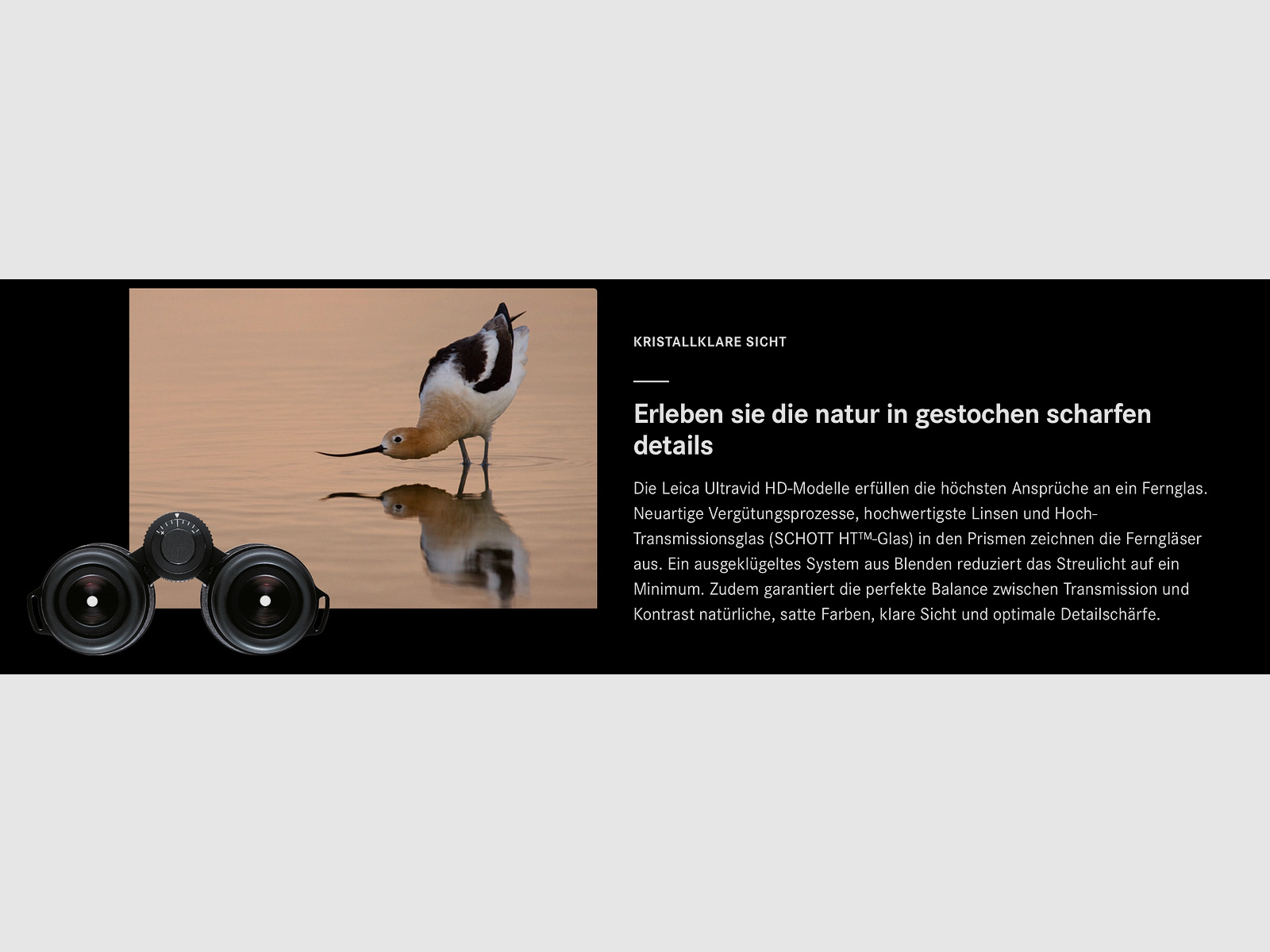 Leica 50381010 Ultravid 8x42 HD-Plus z torbą i paskiem do obserwacji ptaków 40093