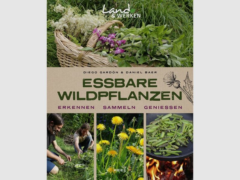 Essbare Wildpflanzen - erkennen, sammeln, genießen - Neuware - 120 Seiten- Softcover