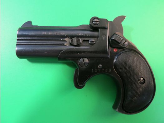 RÖHM RG17 Derringer, .38 Special, Fangschuss + Fallenjagd   #82