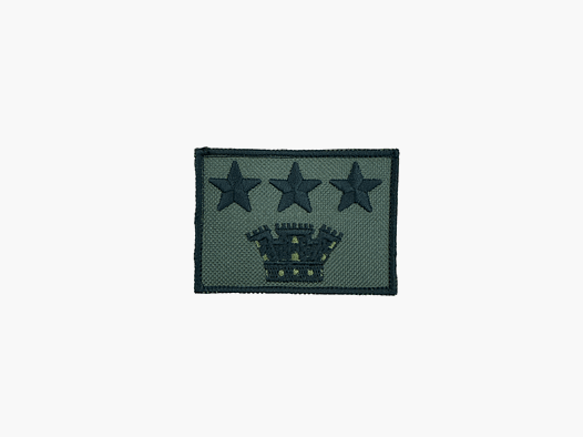 ARMY – RANK SCRATCH COLONEL