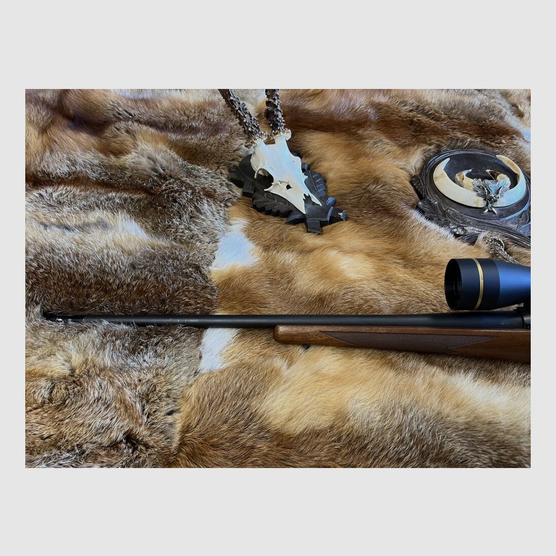 Ruger 77