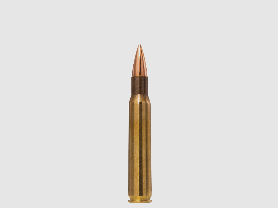 Norma Range & Training FMJ | 30.06 | 9,7g/150gr | 50stk, billede 2 af 2