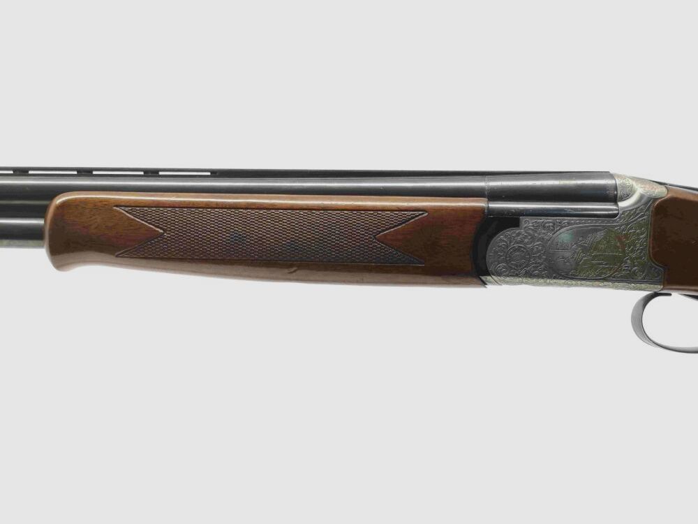 Kettner Campione