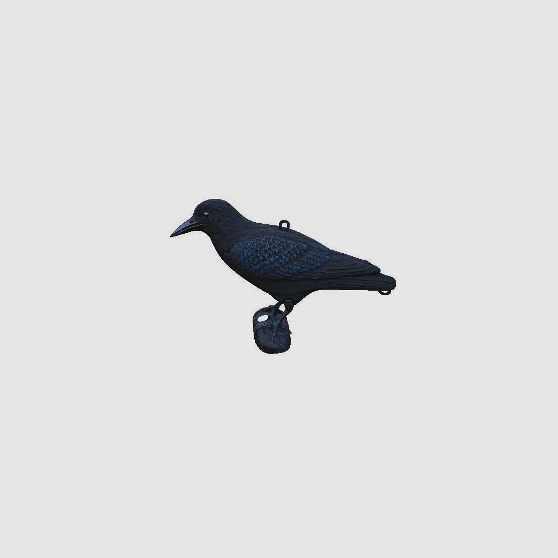 Lockkrähe beflockt