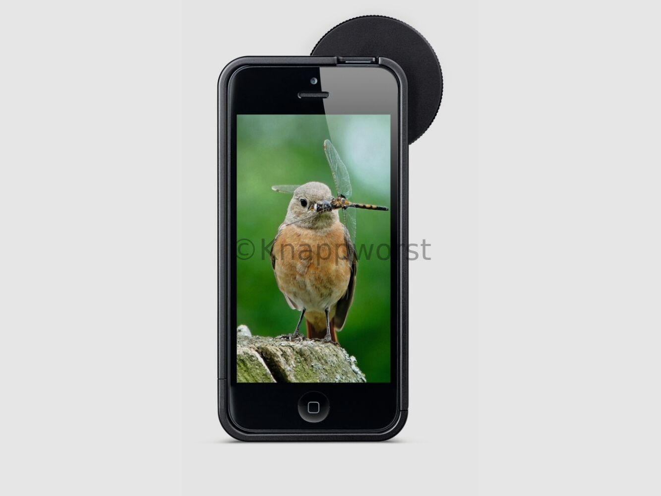 Adapter Swarovski PA-i6 do iPhone 6, zdjęcie 1 z 2