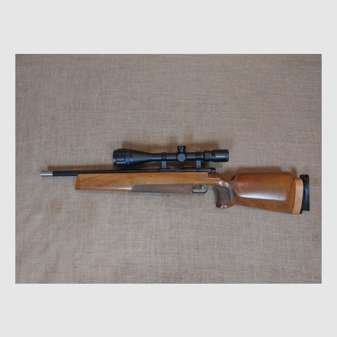 Anschütz , Ulm Match 54