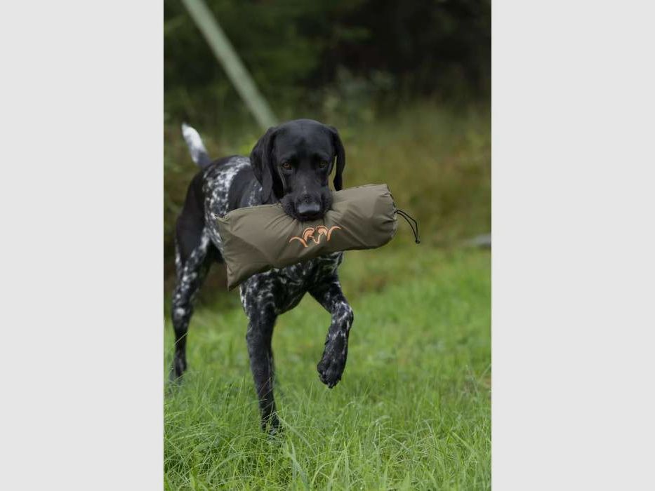 Tappeto per cane BLASER, immagine 6 di 6