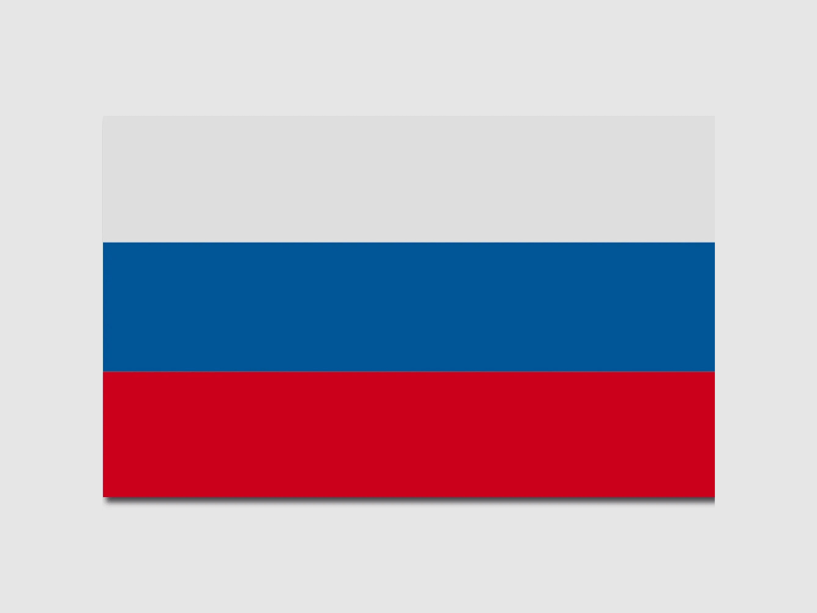 Diverse Flagge Russland