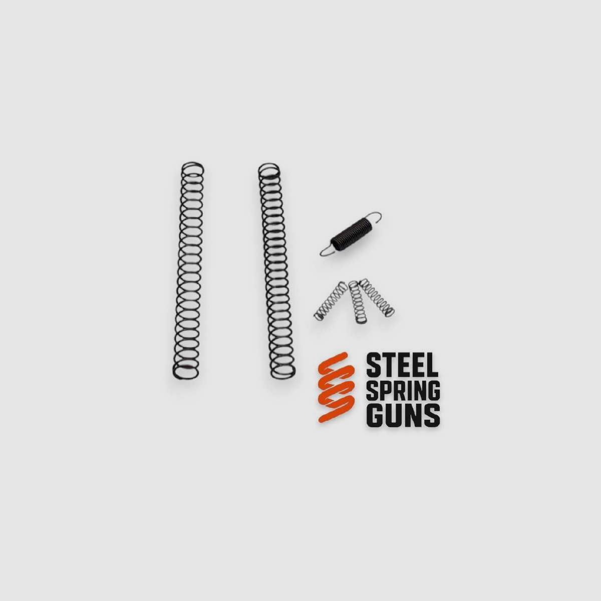KIT DI AGGIORNAMENTO MOLLE PER PISTOLE CANIK FULL MEDIUM SIZE IN ACCIAIO
