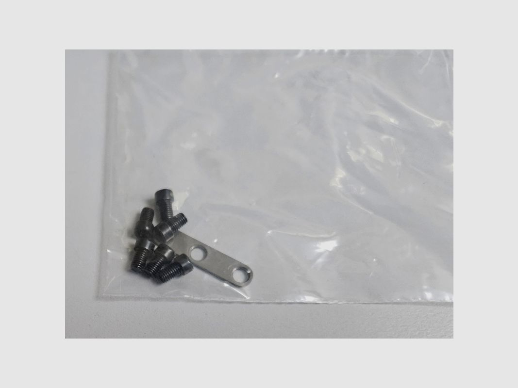 STEYR PICATINNY RAIL L/M/S SYSTEM SM12/CL2 2024, immagine 2 di 2