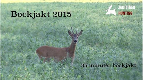 JAKTFEBER Bockjakt 2015