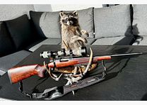 CZ Ranger Walnuss Schaft 557