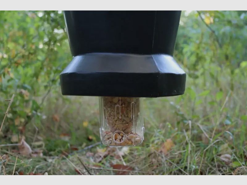 Eurohunt Universal Futterspend - er Rebhuhn,Fasan,Hausgeflügel