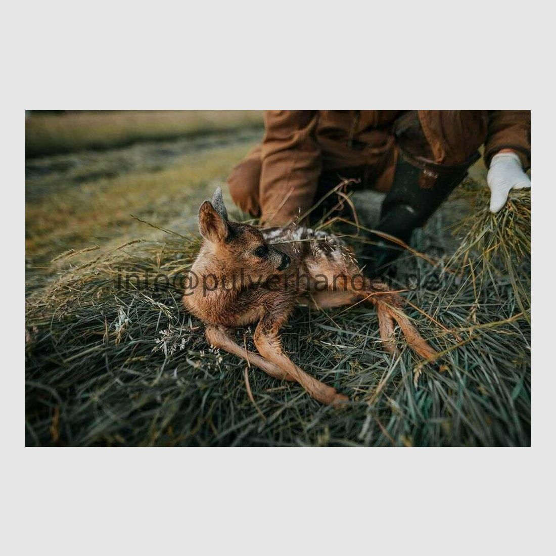 DJI Matrice 4 T drone brand new in a set with case from a specialist retailer Introduction drone for fawn rescue, ASP control, missing person search and for use by authorities