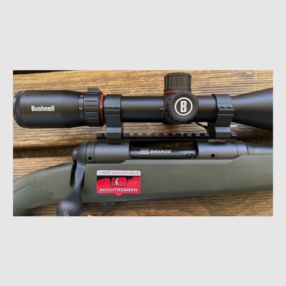 Savage 110 Hog Hunter mit Bushnell 3-18x56 Nitro .308Win