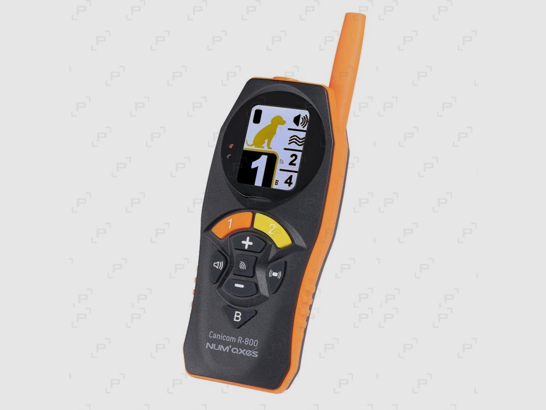 Pack Halsband zur Ausbildung NUM’AXES CANICOM R-800, Bild 4 von 4