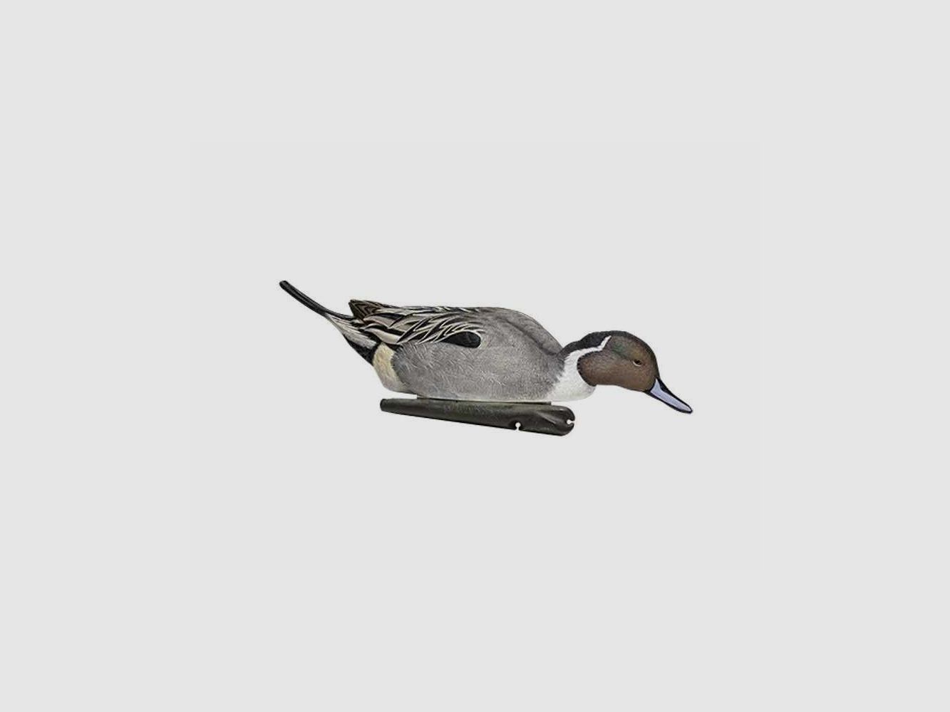 Aktive Pilet-Formen AvianX, Bild 7 von 8