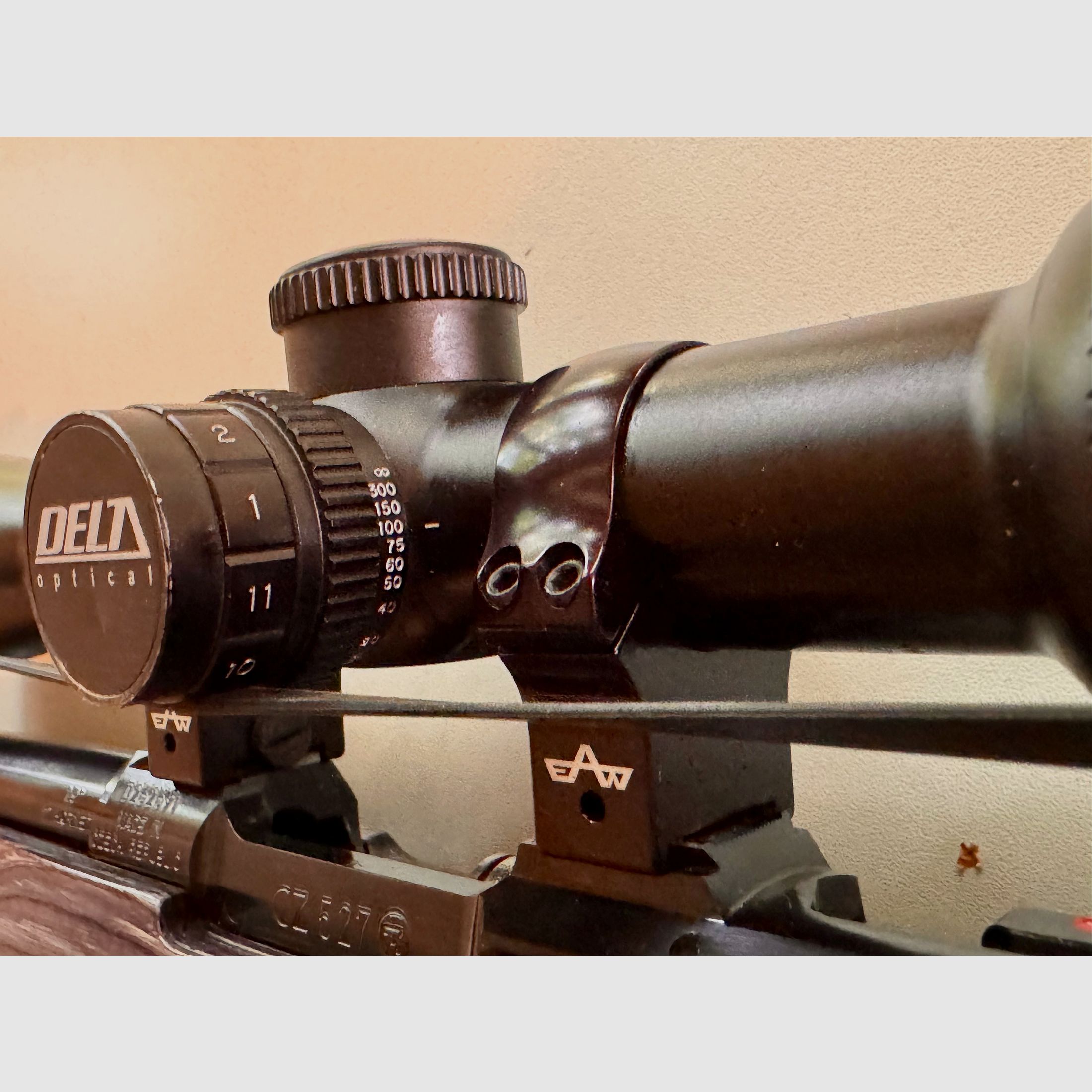 CZ 527 Thumbhole .17 HORNET mit Hausken SD & Delta Titanium HD – Raubwild-Profi