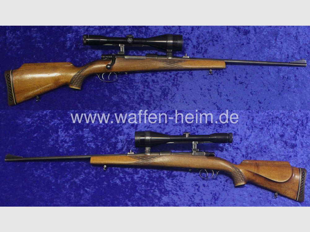 Forêt - Franconie M 98