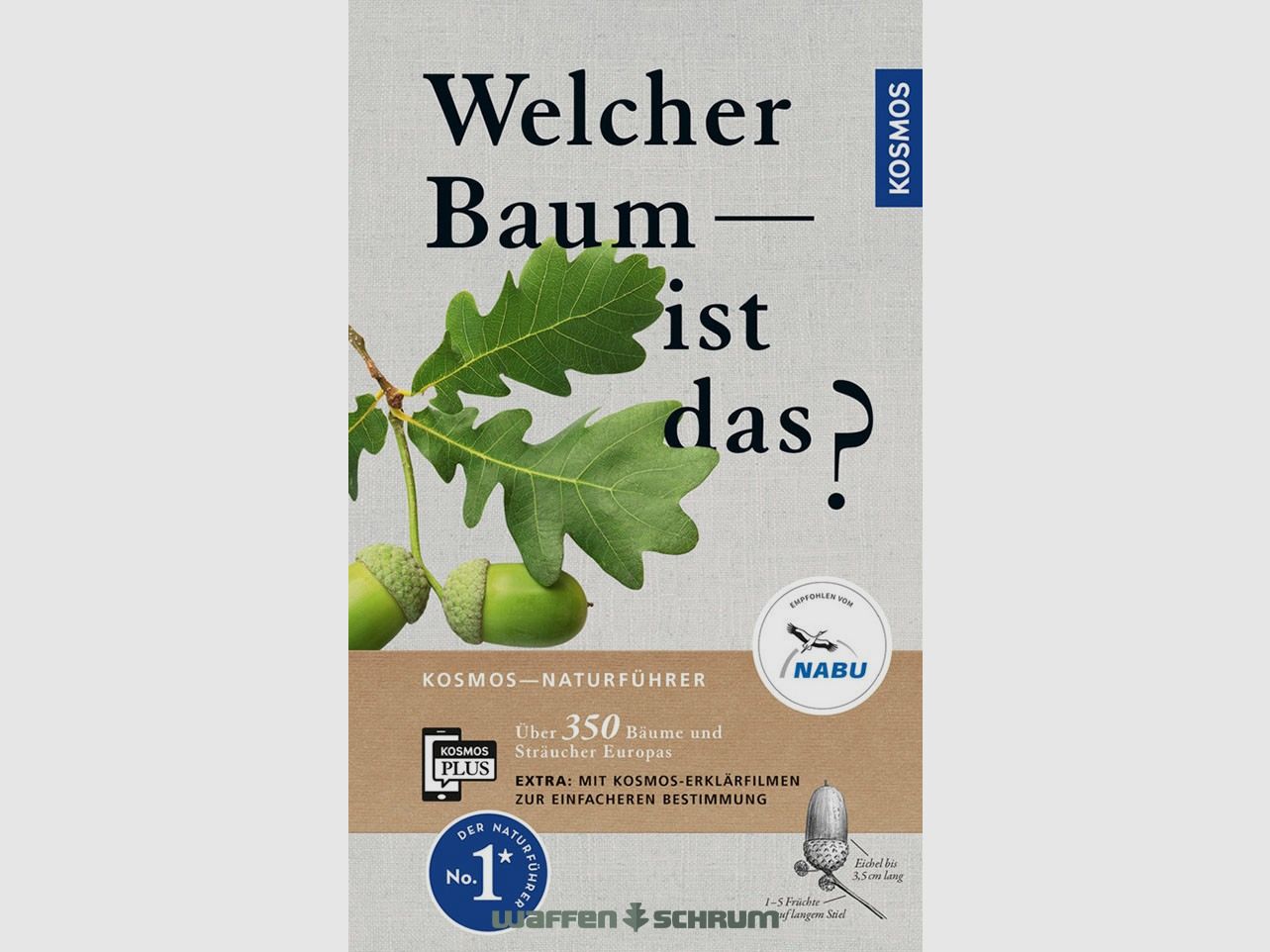 Kosmos Welcher Baum ist das? Spohn
