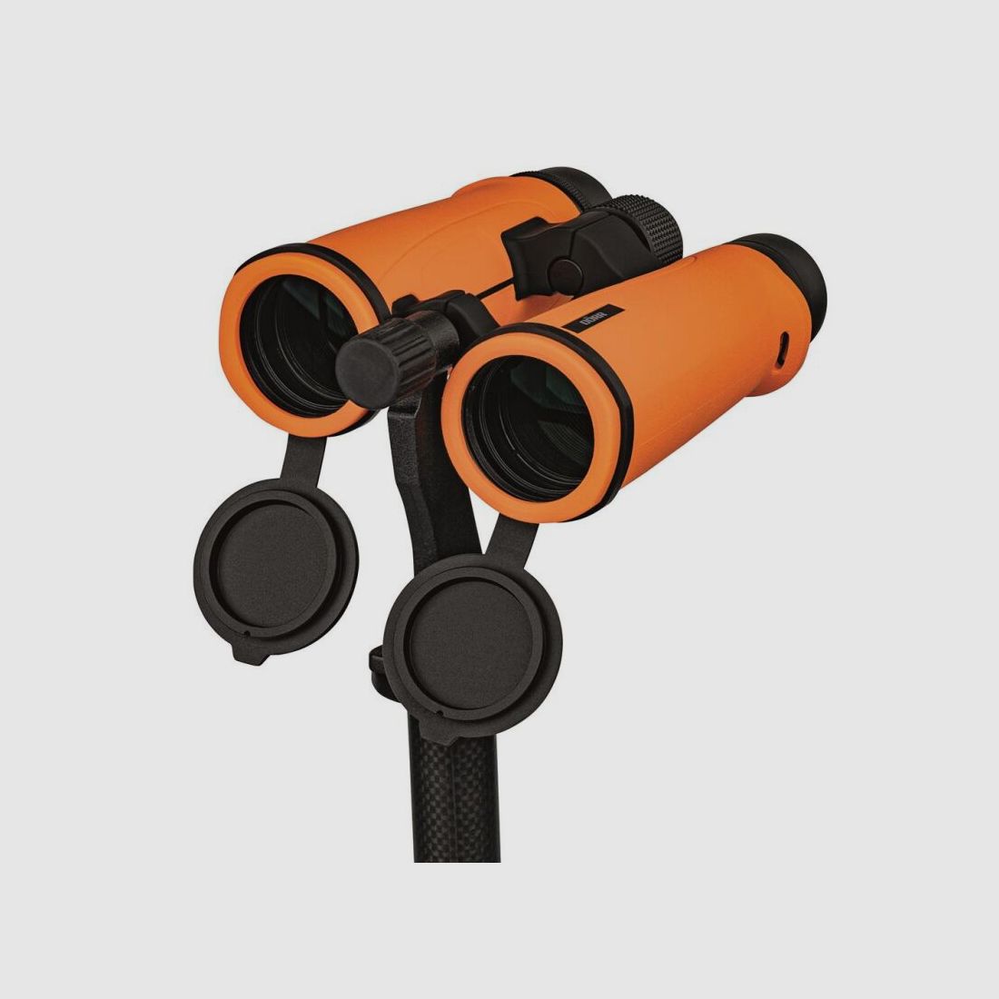 Dörr Dachkantfernglas Signal XP 10x42 Orange