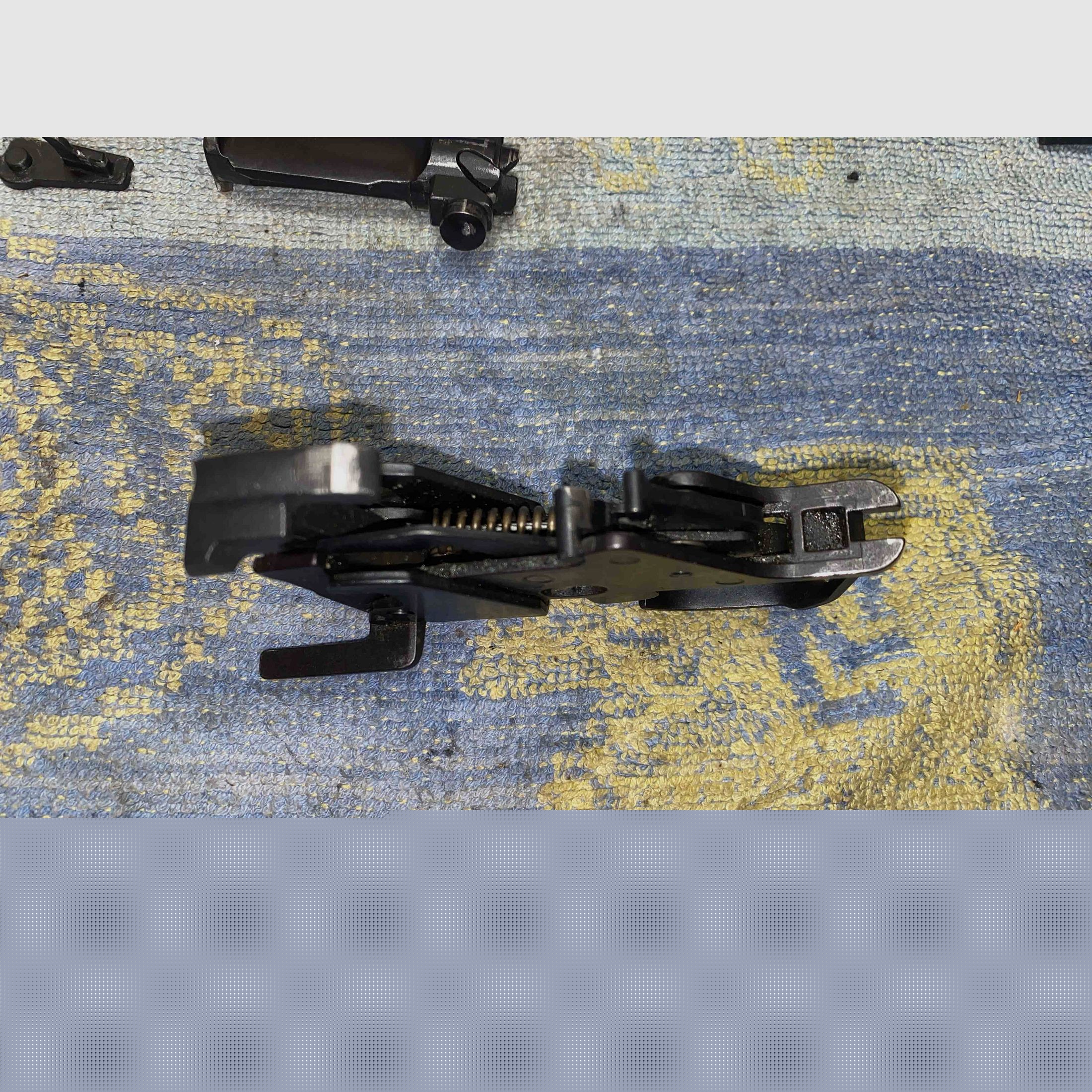 Sturm Ruger Mini 30 7,62x39