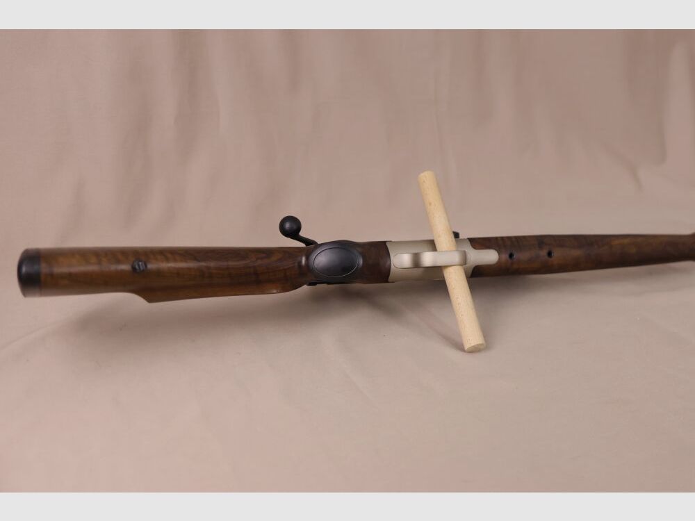 Blaser R93 // Holz // Swarovski mit Leuchtpunkt!!!