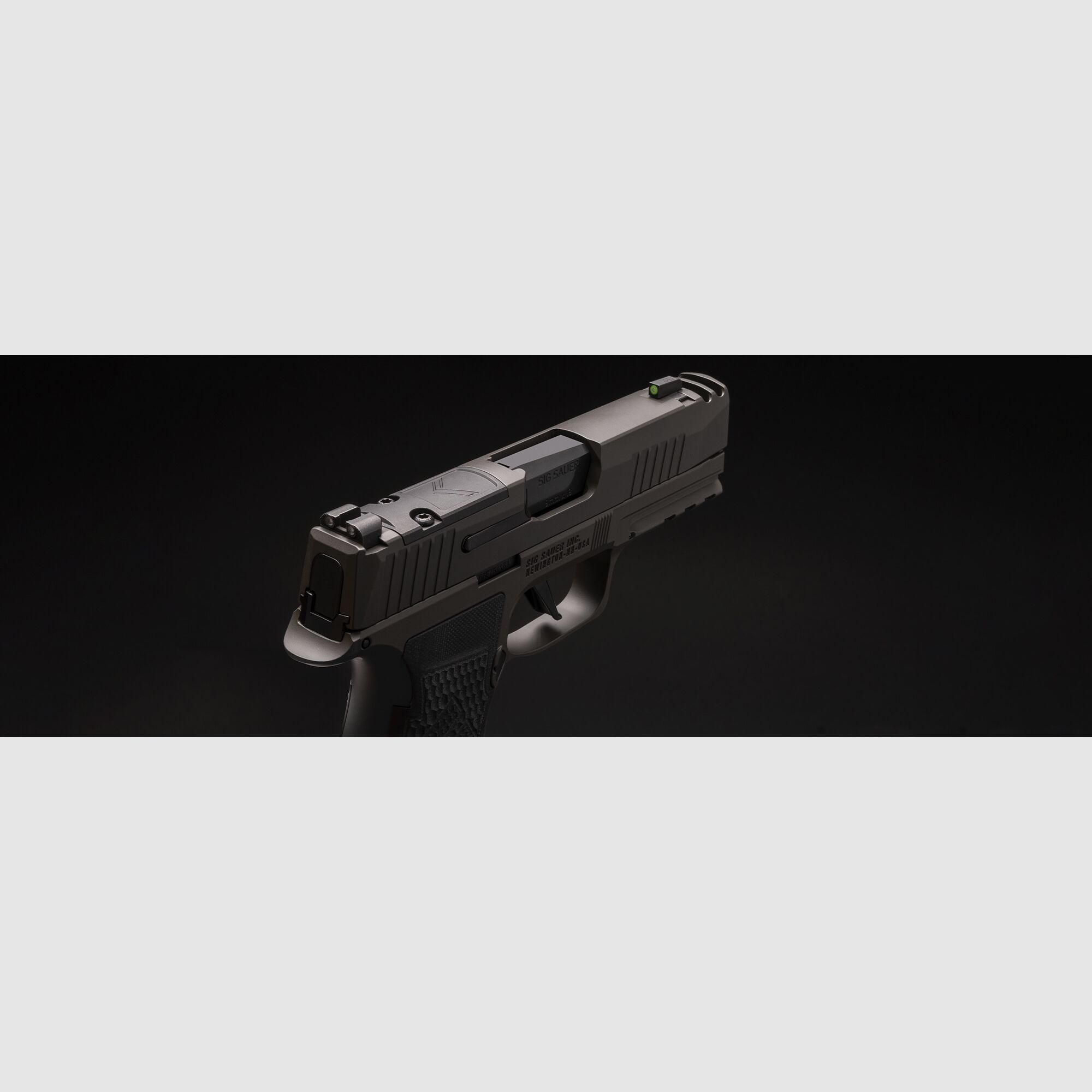 Sig Sauer P365 AXG Legion, imagen 4 de 17
