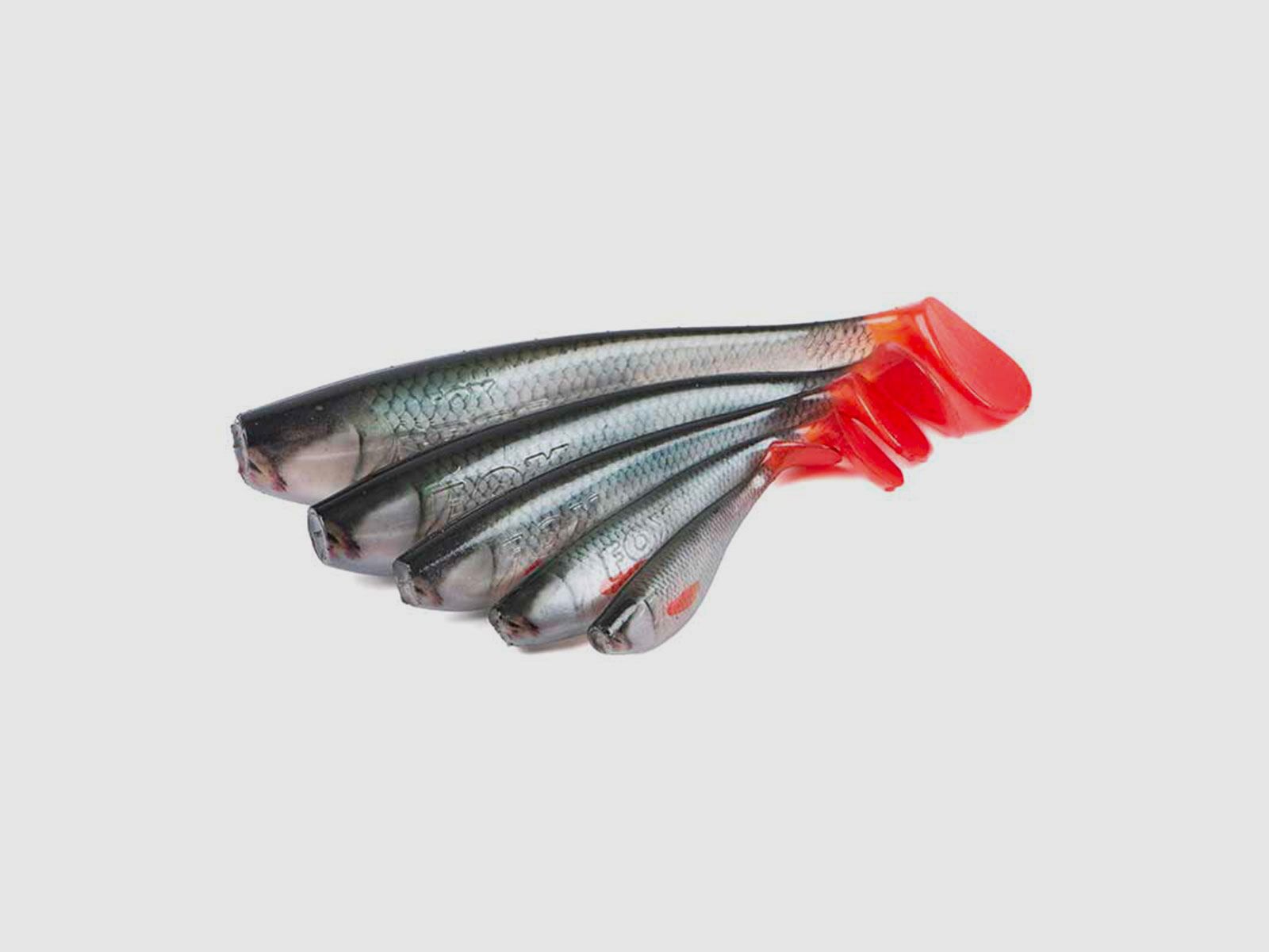 FOX RAGE – NATURALS ZANDER PRO BULK SHADS 16cm 6.3″ | Ultra Realistic Roach, immagine 3 di 4