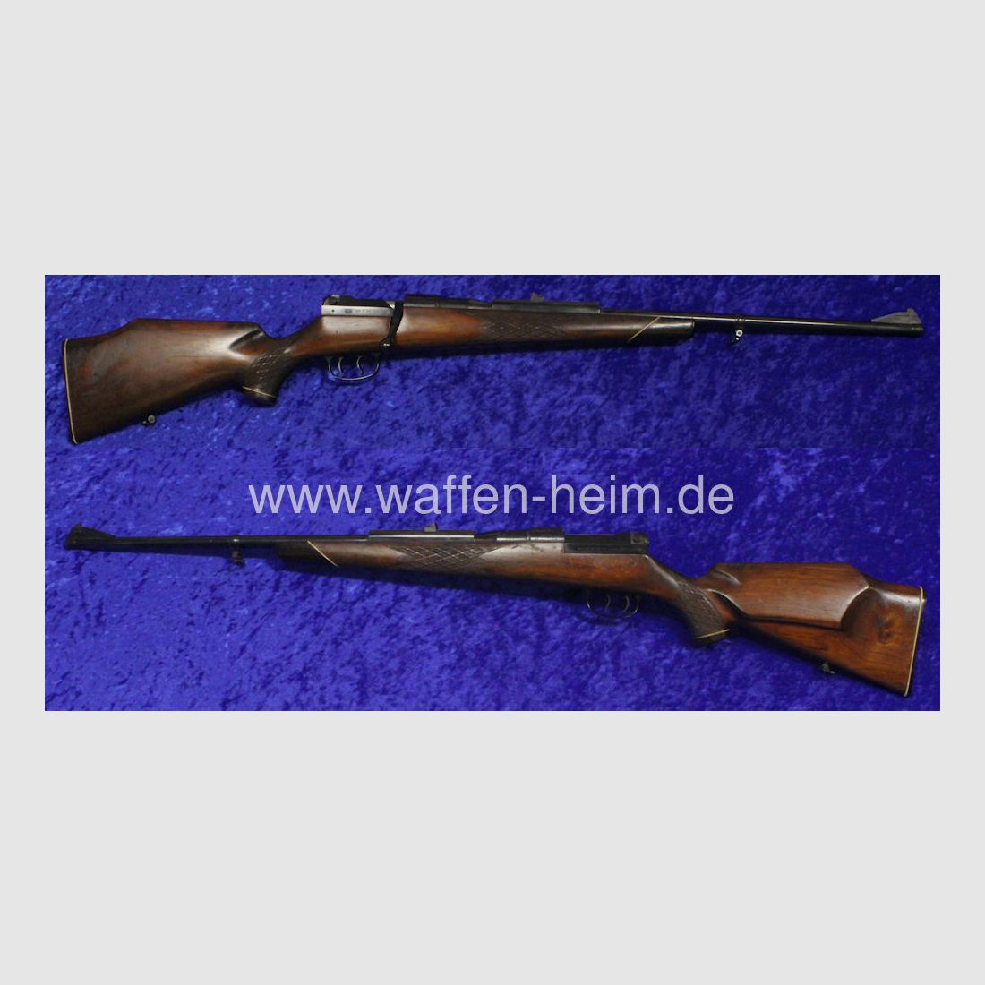 Mauser 66
