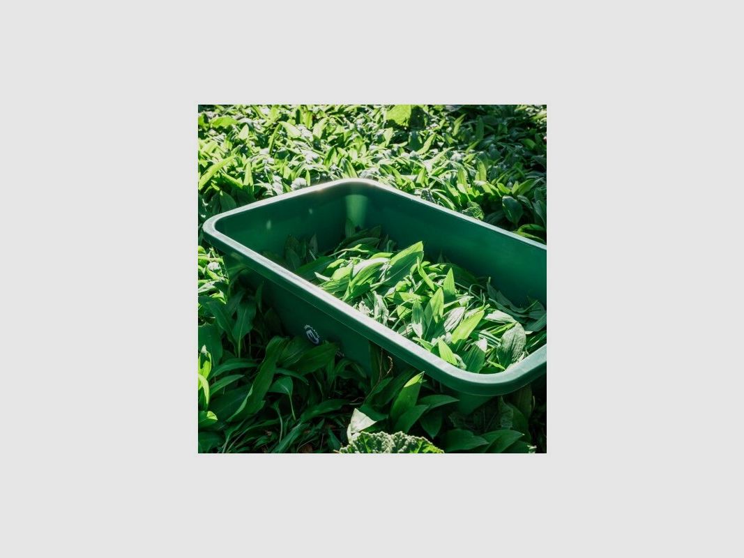 Farm-Land Wildwanne 60Litri adatti per alimenti