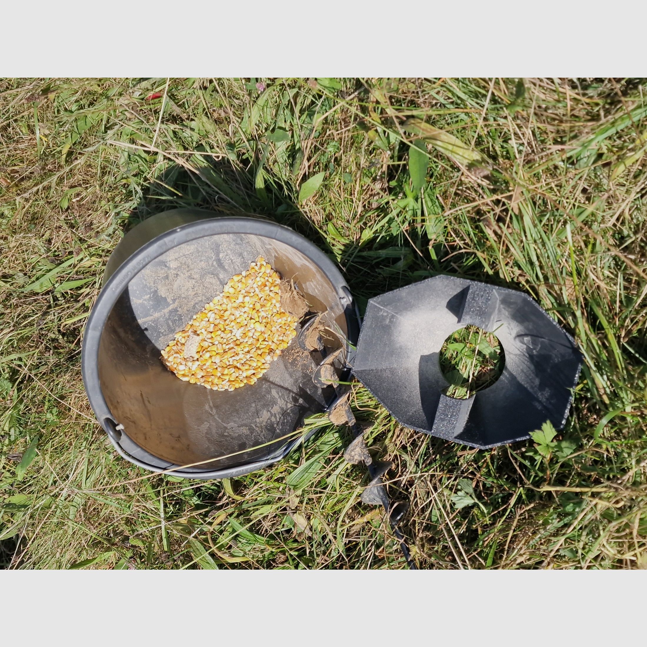 Revierhelfer - Kirrtrichter