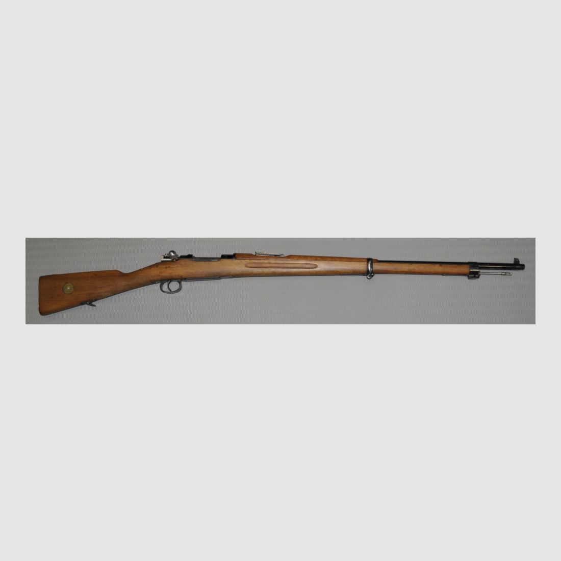 Carl Gustafs M 96