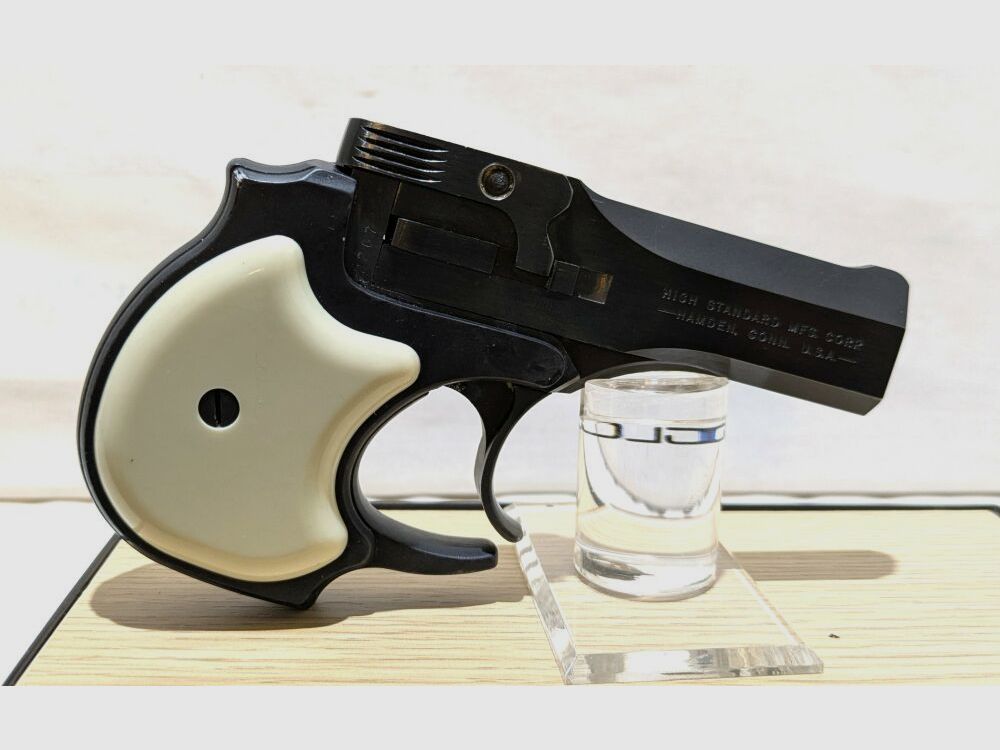 Wysoki Standard DM 101