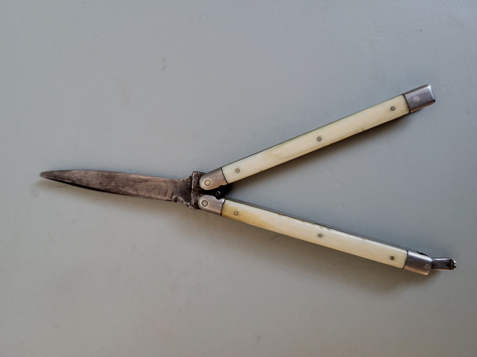 Antike Bonsa Böntgen & Sabin Solingen Taschenmesser - 1890er Jahre - Horn Griff