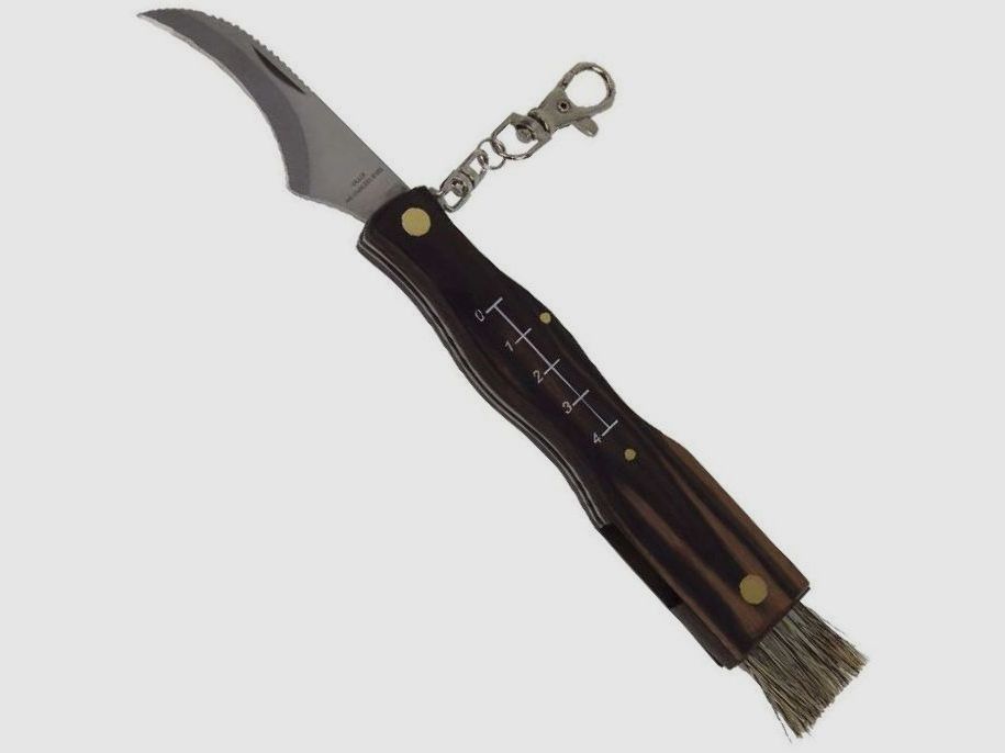 Pilzmesser braun m. Bürste