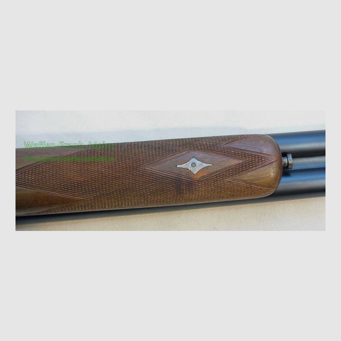 Gecardo Mod. Chasse