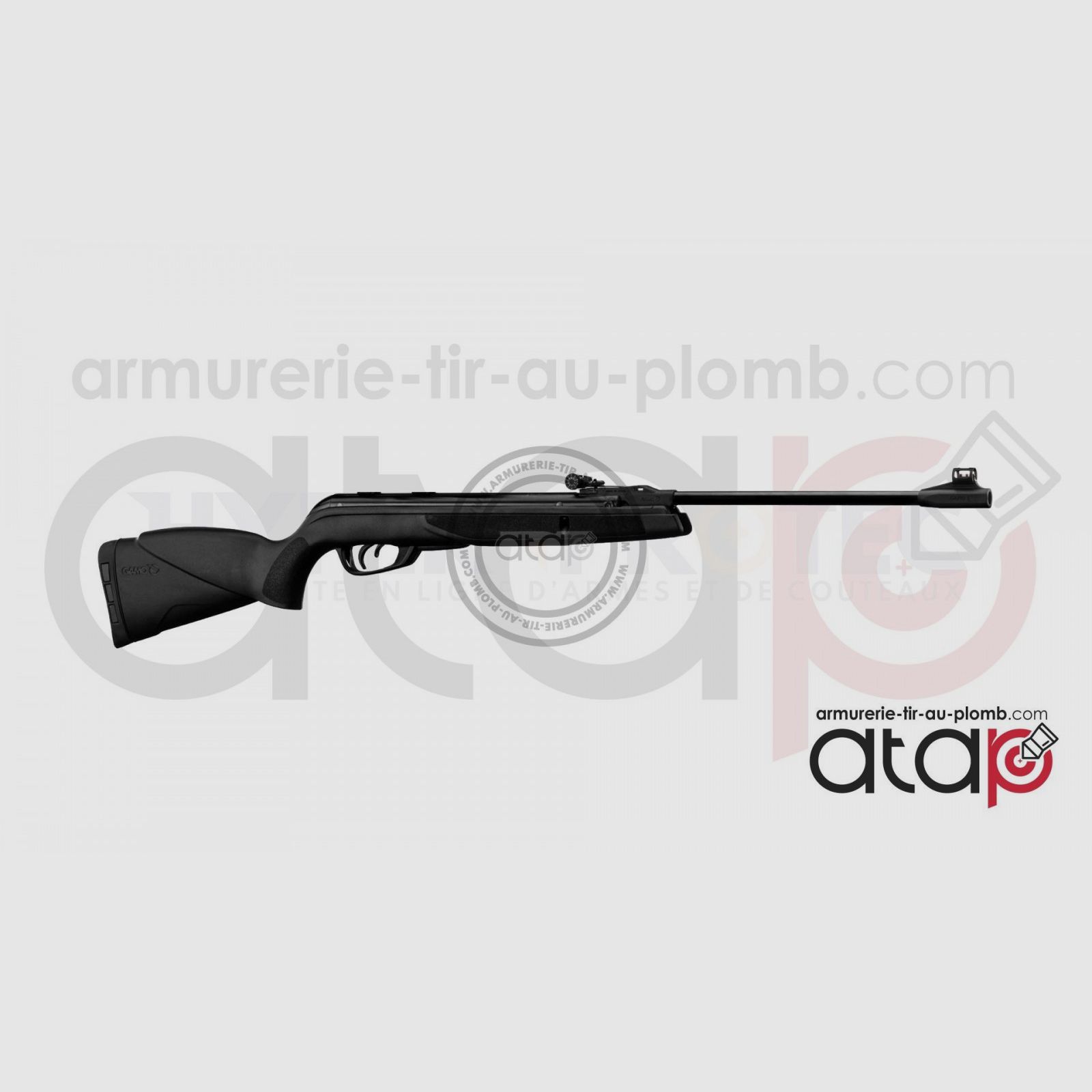 Gamo Big Cat 1000-E IGT - Carabine à Plomb, image 1 sur 4