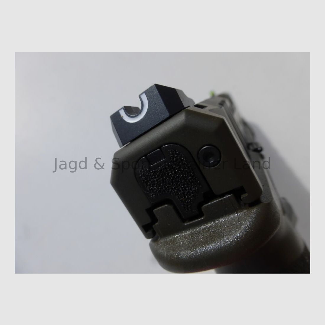 Springfield HS Echolon 4,5" ODG