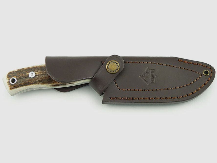 PUMA IP cervato, stag