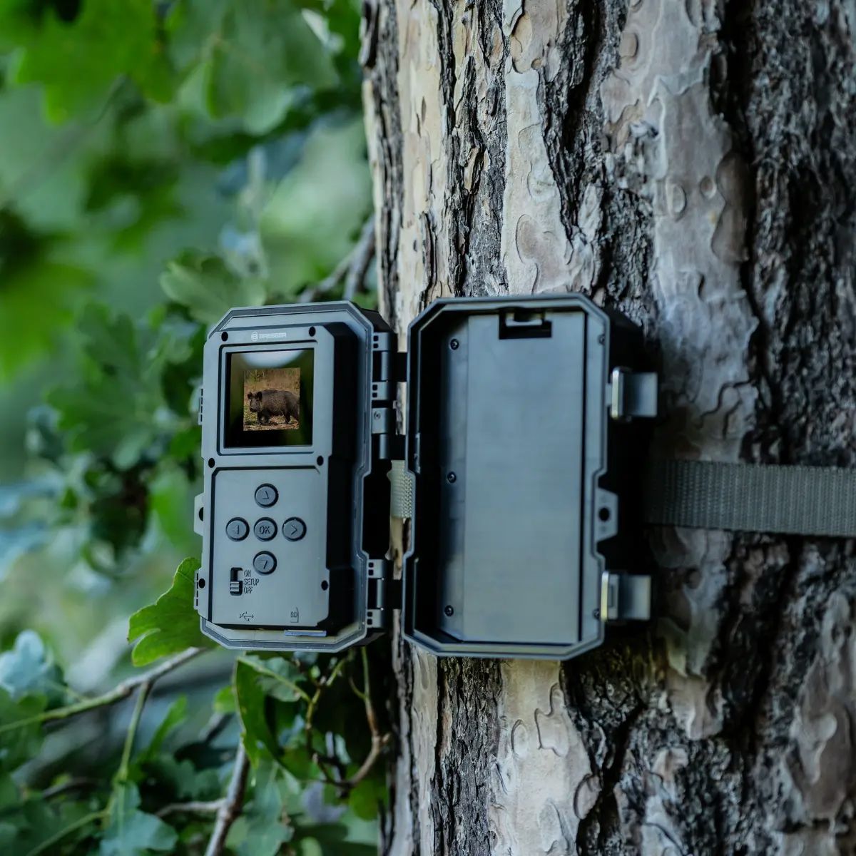 Bresser 60°-Telecamera per l'osservazione della fauna selvatica