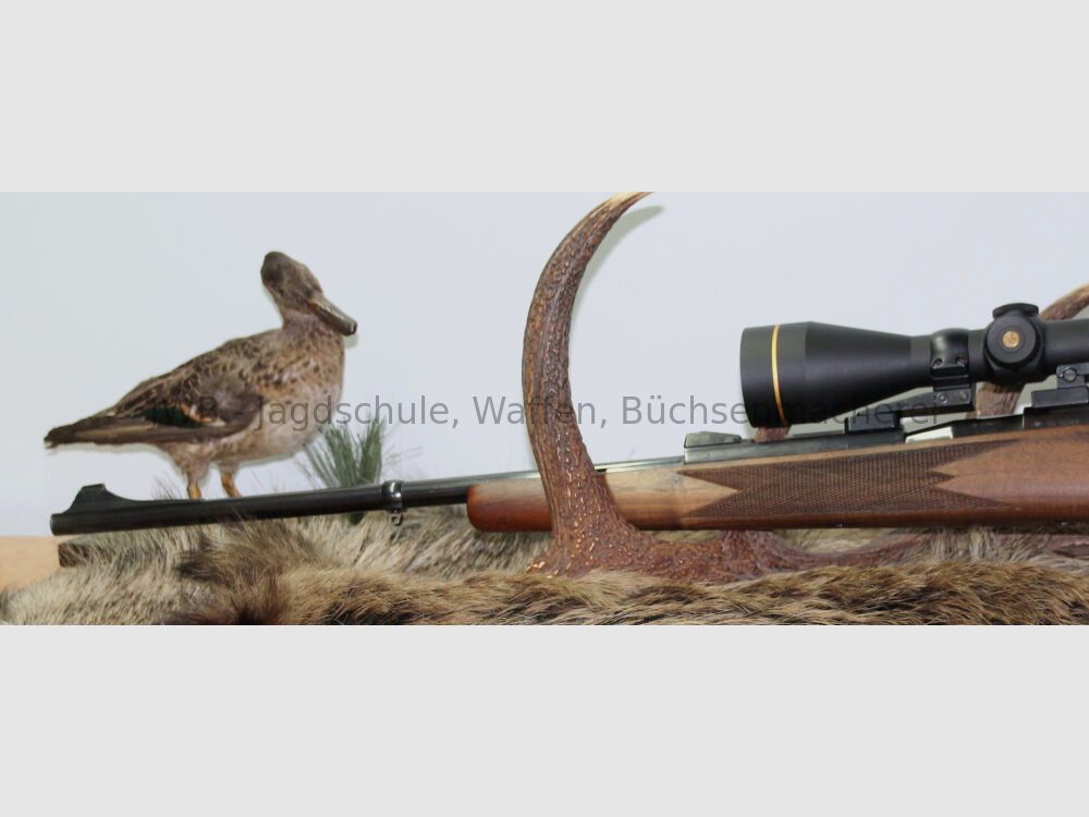 Mauser 66S mit Leupold VX-R