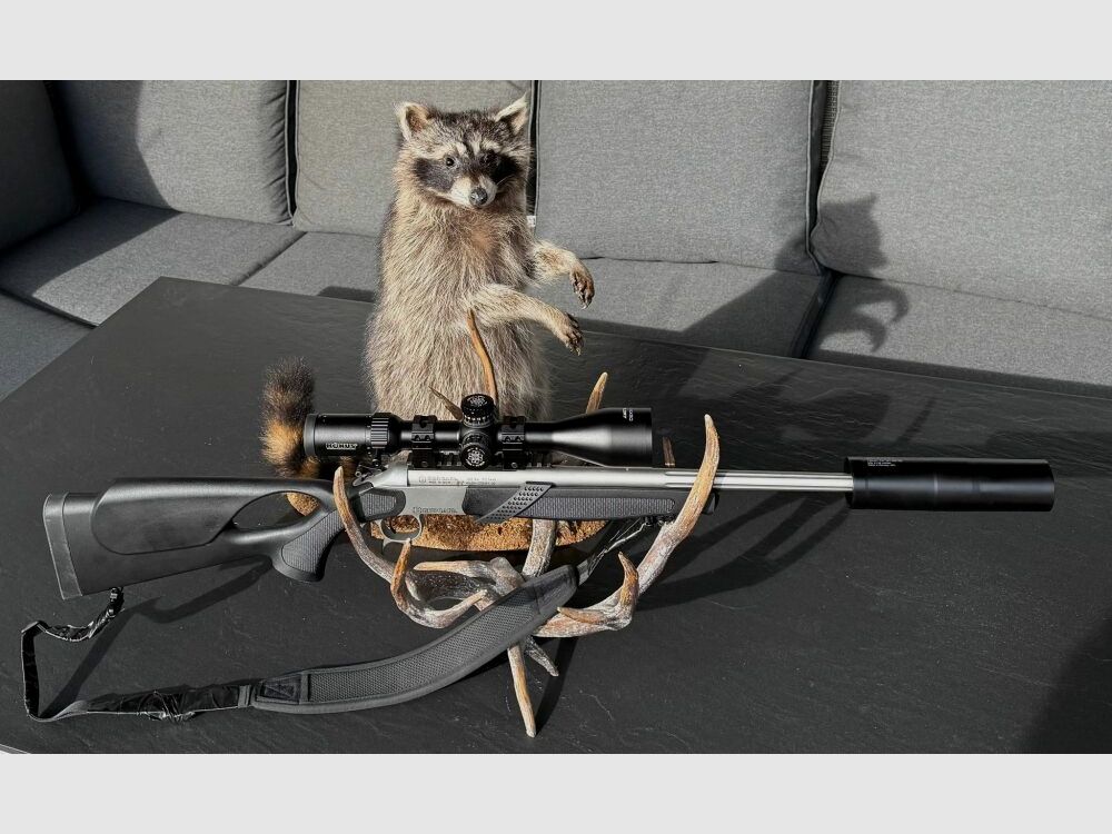 Bergara BA13 Takedown